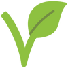 Vegan